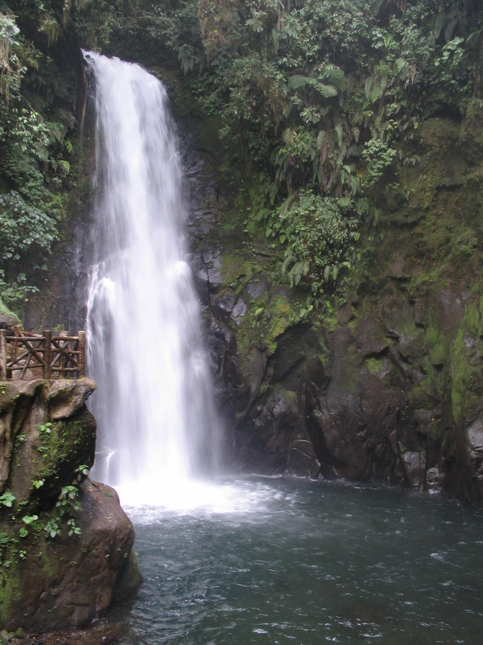 Costa Rica La Paz Waterfall Gardens