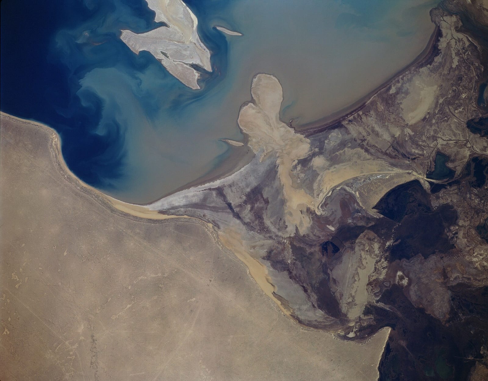 Amu Darya river oasis Turkmenistan