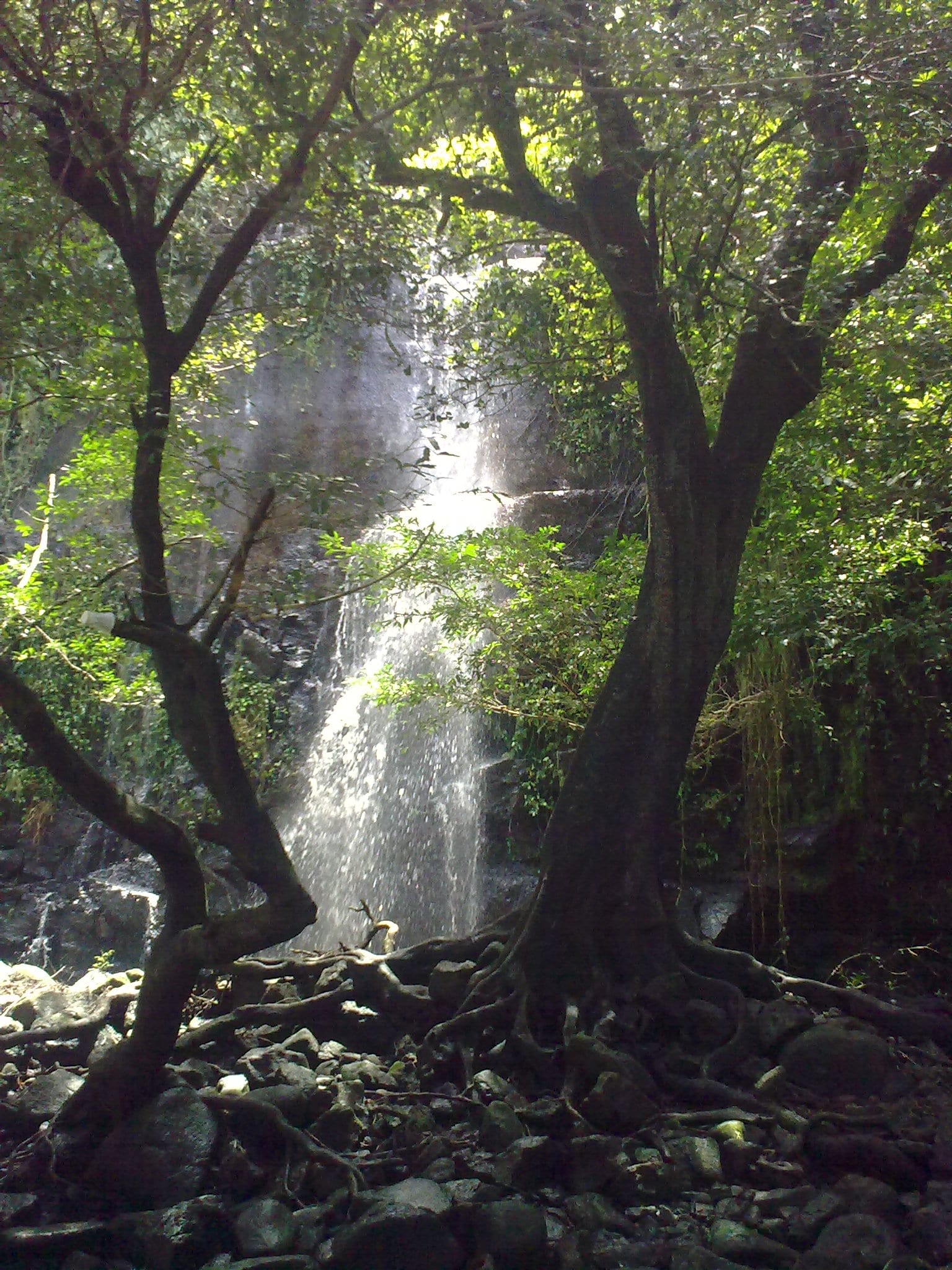 Costa Rica rainforest waterfall